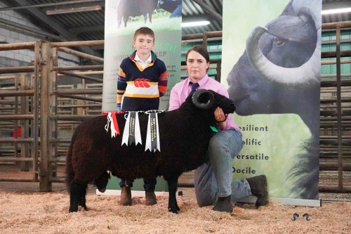BWMSBA Ruthin Sale Report