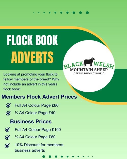 Get your flock/business advert into the 2025 Flockbook today!