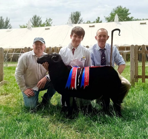 Bath & West Show Results