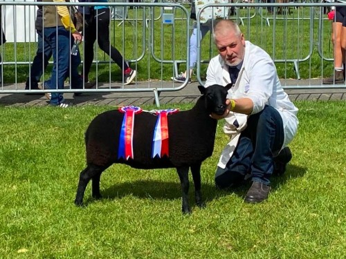 Royal Three Counties Show Results 2026
