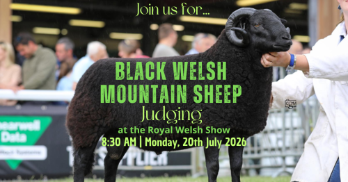 Royal Welsh.. A week to go!