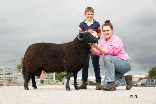 Ruthin Official BWMSBA Sale - Friday, 18th September 2026