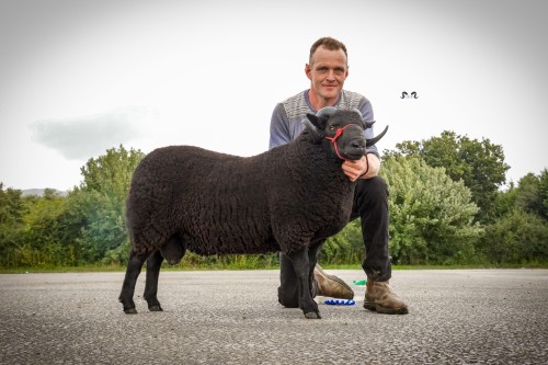 Ruthin Sale Report 2026