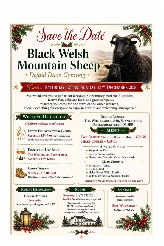BWMSBA Christmas Weekend