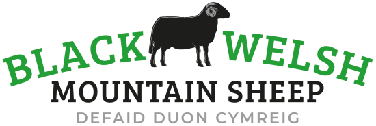 Annual Show & Sale 2026 - Raglan
