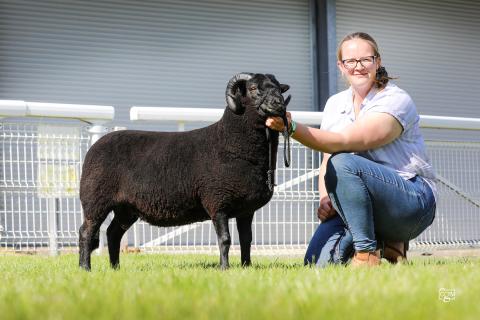 RWAS Smallholders Festival 2025 - Breed Champion