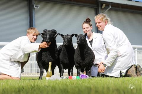 RWAS Smallhoders Festival 2025 Supreme Interbreed Group of Three