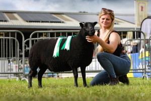 RWAS Reserve Champion 2024