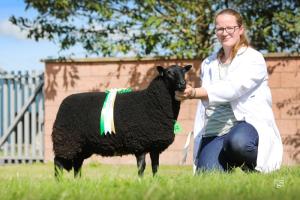 Reserve Female Champion, Raglan Sale 2024