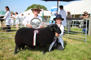 New Forest Supreme Champion 2024