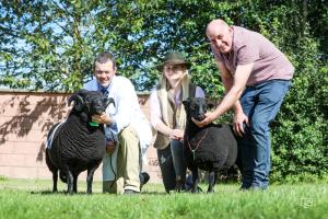 Male Champion Presentation, Raglan Sale 2024