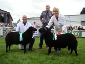Male Champion Presentation, Royal Welsh 2024